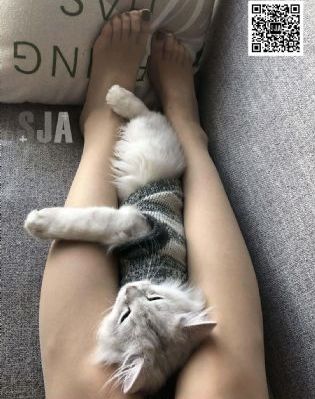 姐姐的朋友电影2_4K手机免费观看完整