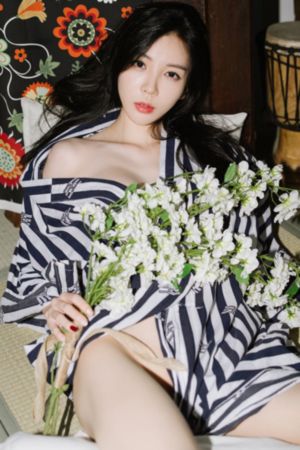 珠帘玉幕免费全集_DVD全集在线观看