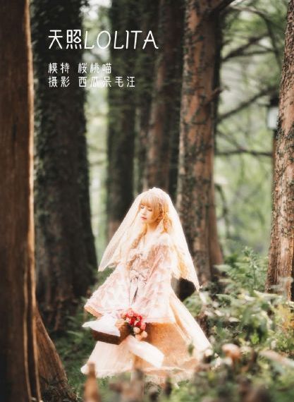 精灵森林ova第三集免费观看_国产剧神马影院在线
